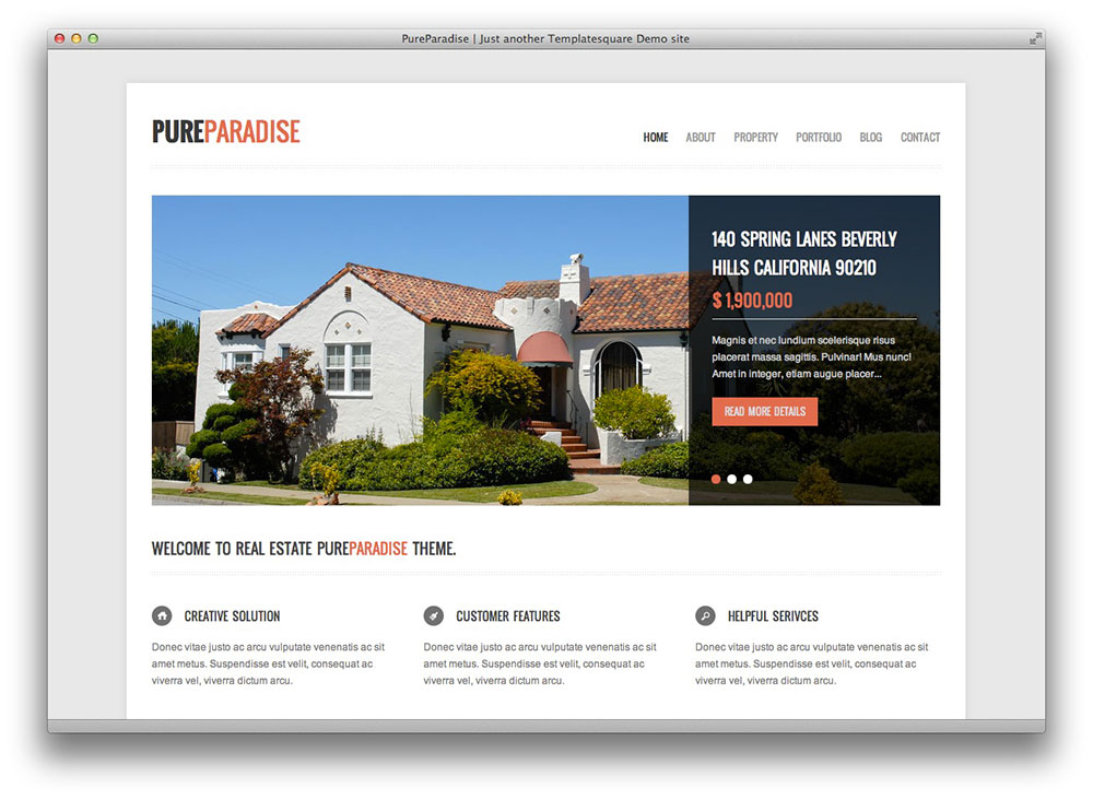 Pure Paradise - Clean WordPress Theme