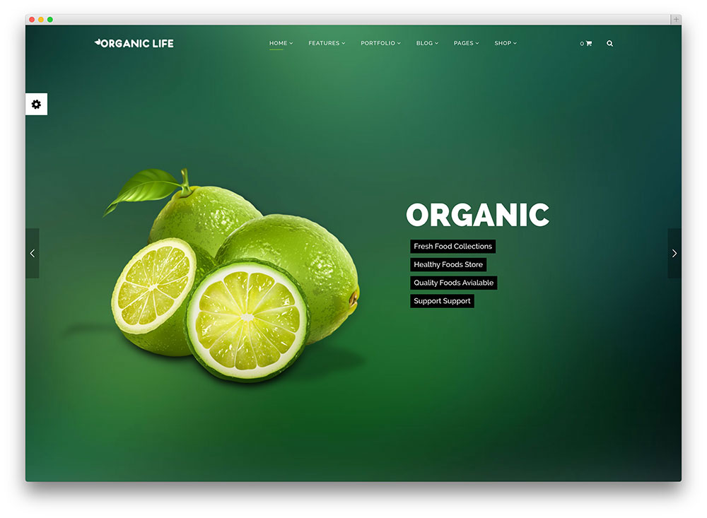 organic life eco friendly wordpress theme