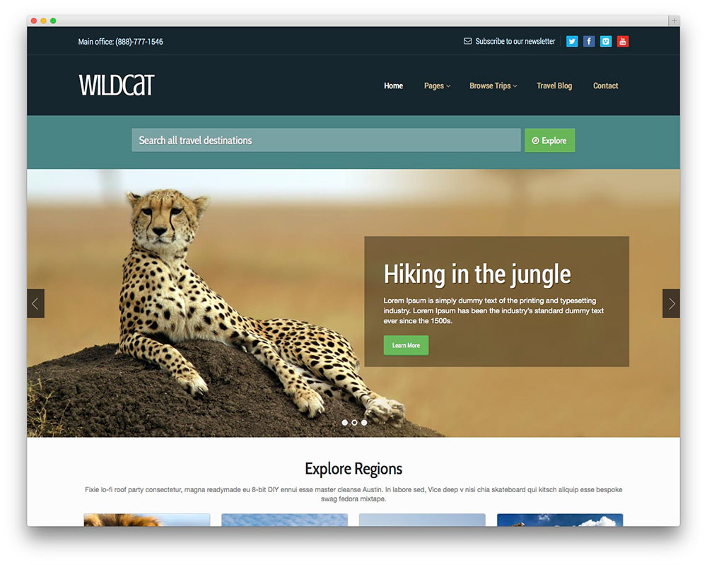 wildcat WordPress theme