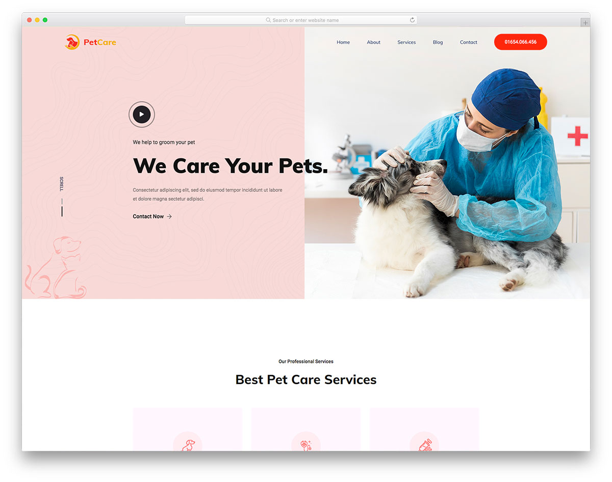 PetCare - Free Pet Clinic Website Template Design 2023 - Colorlib