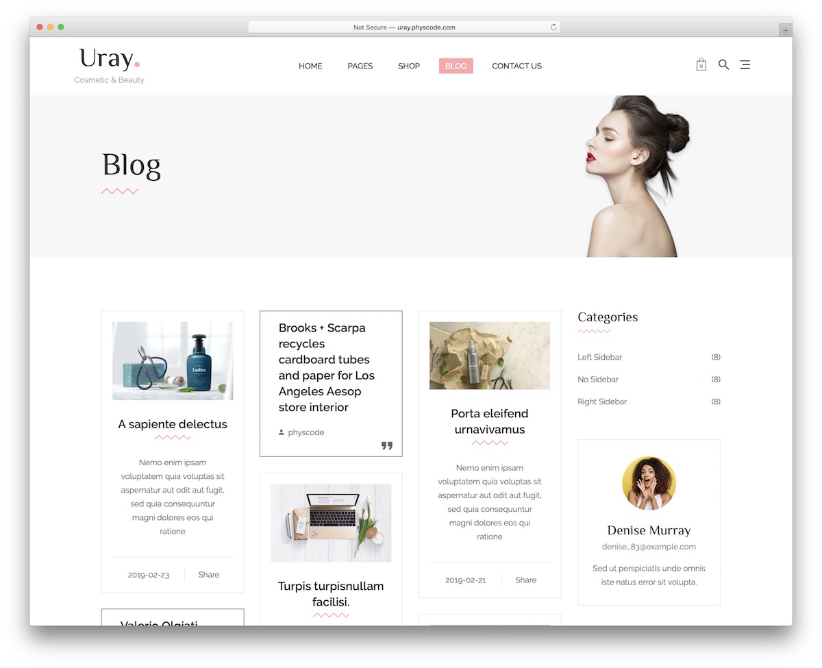 12 Most Impactful Shopify Blog Themes 2022 - Colorlib