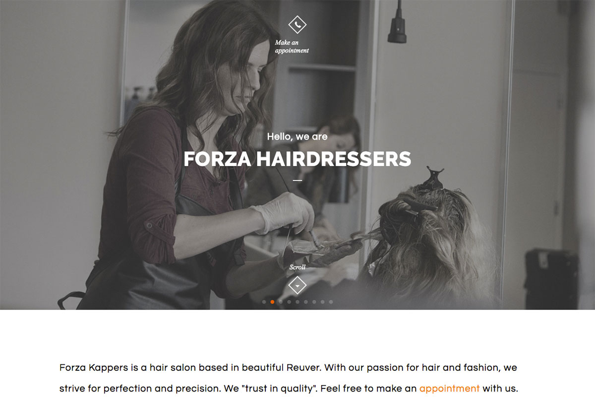 12 hair salon websites design