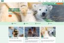 zoo website designs