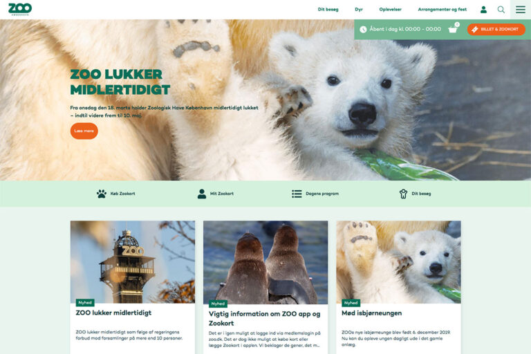 19 Best Zoo Website Design Examples 2026