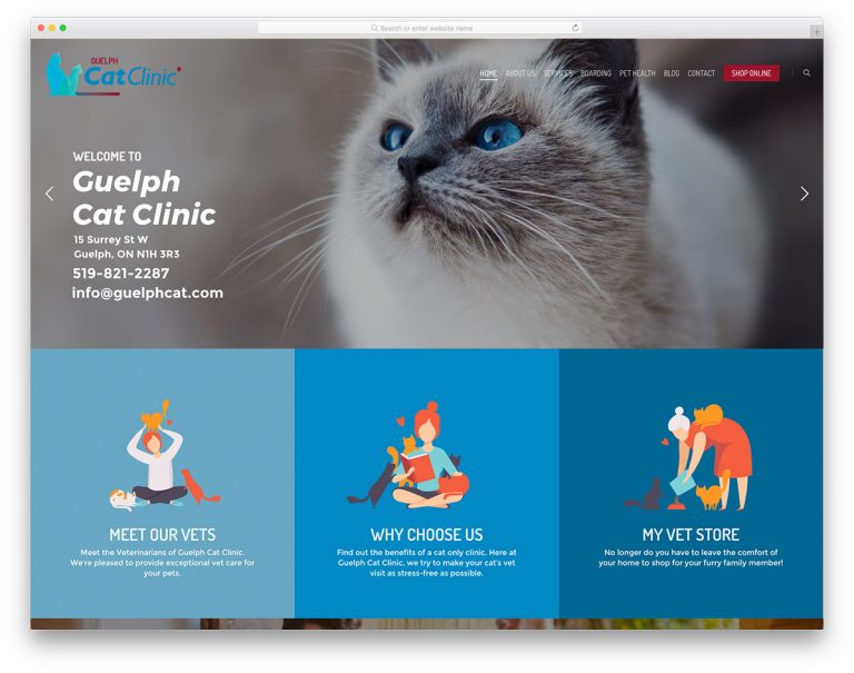19 Best Veterinary sites For Veterinarians 2021 Colorlib