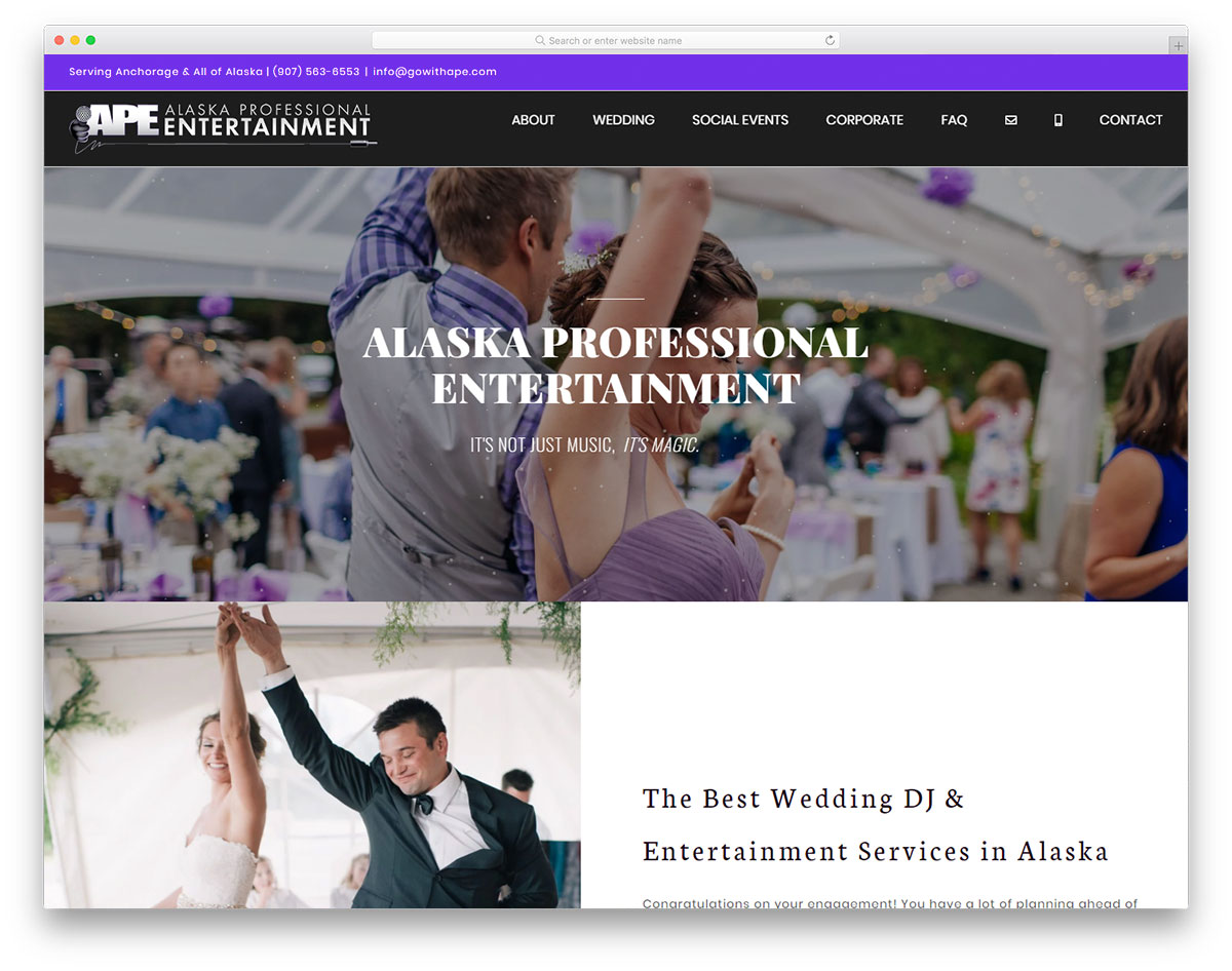 Alaska Professional Entertainment