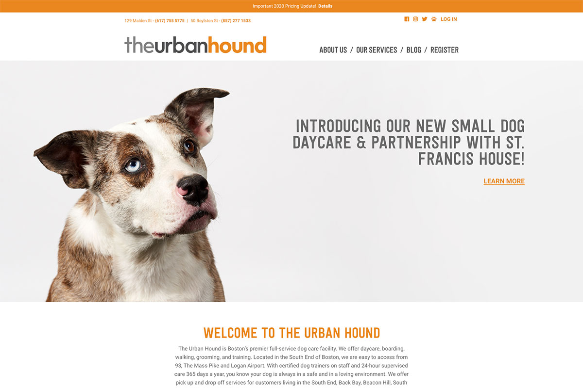 19 Best Pet Care Websites Design Inspiration 2022 - Colorlib