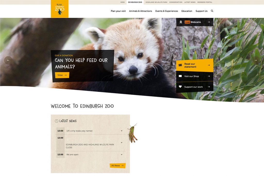 19 Best Zoo Website Design Examples To Explore 2023 - Colorlib