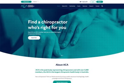 Best Chiropractic Websites