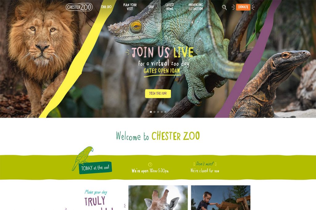 19 Best Zoo Website Design Examples To Explore 2023 - Colorlib