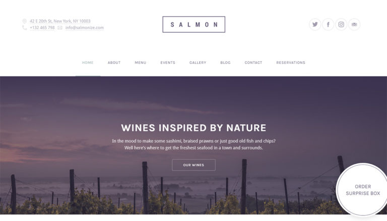 15 Best Accessible WordPress Themes 2026 - Colorlib