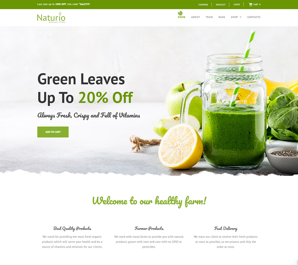Naturio Food Store Template WooCommerce Theme