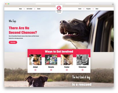 Best Veterinary Websites