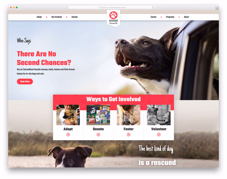 20 Best Veterinary Website Design Examples 2026