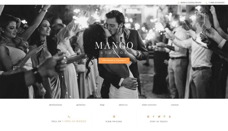 16 Excellent Wedding Photography Websites 2026