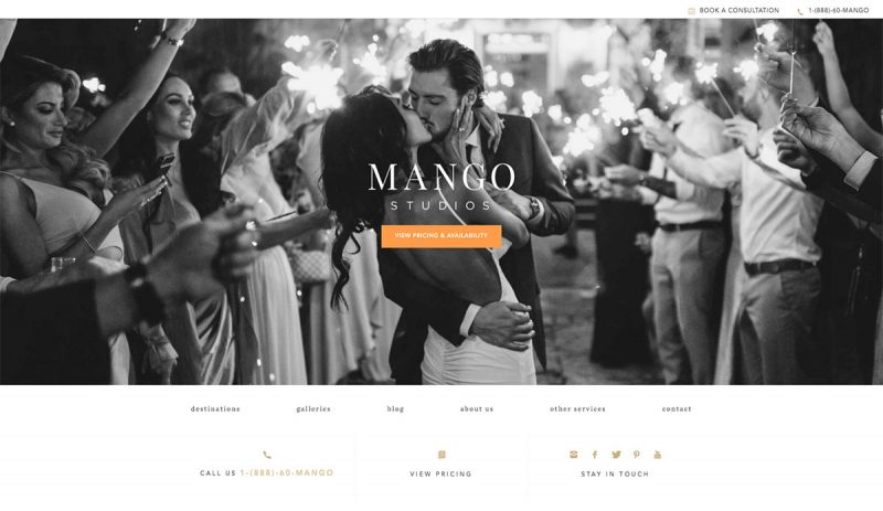 19 Excellent Wedding Photography Websites To Look Into 2020 Colorlib