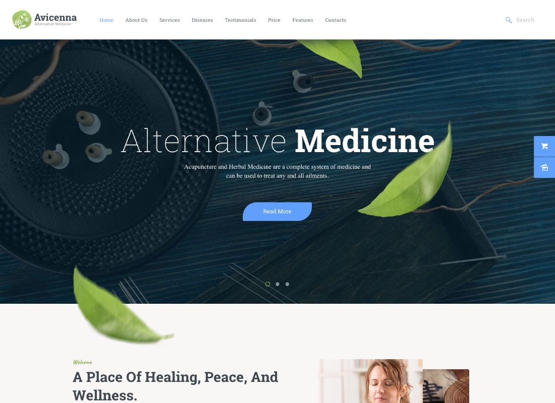 Avicenna | Alternative Medicine WordPress Theme