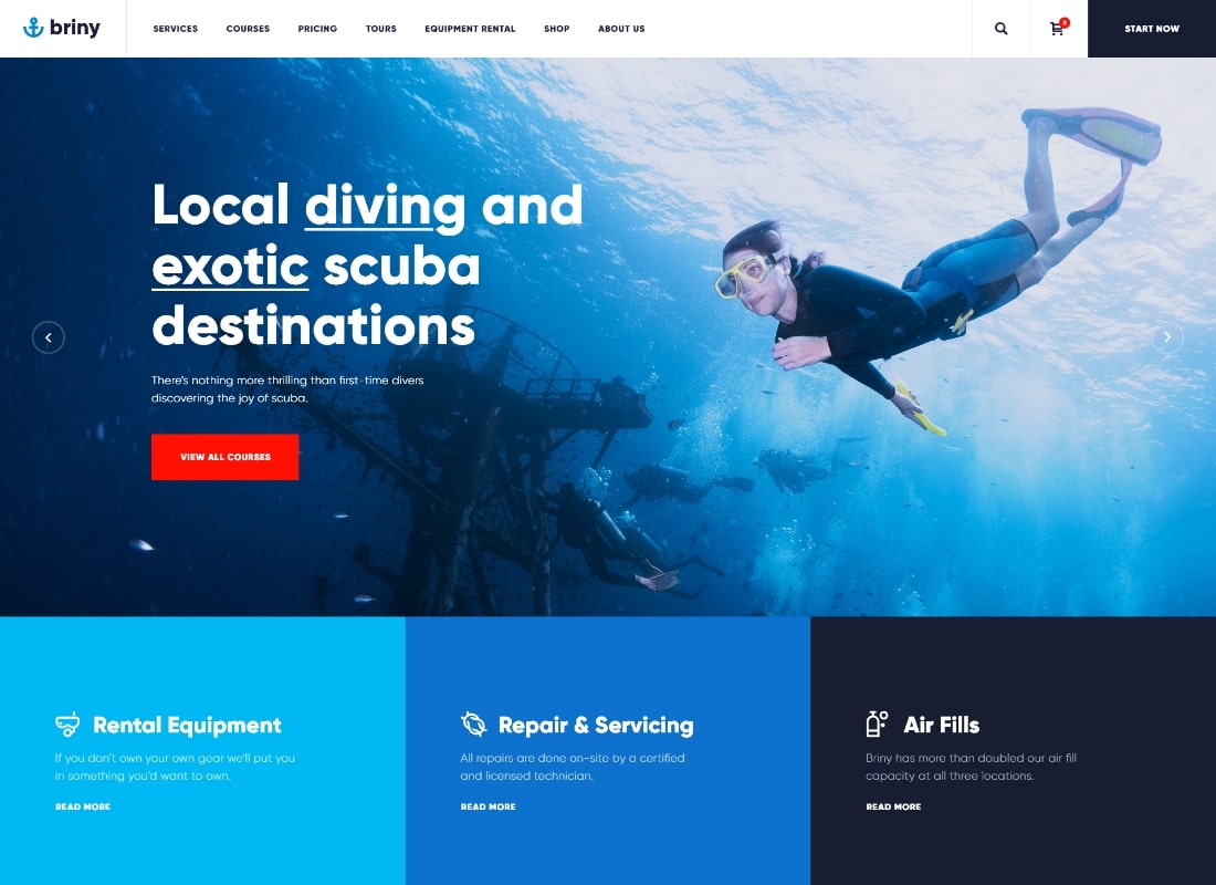 Briny | Scuba Diving School & Water Sports WordPress Theme
