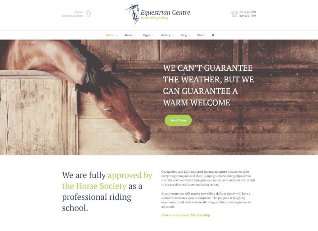 Equestrian Centre & Horse-riding School Hippodrome WordPress Theme