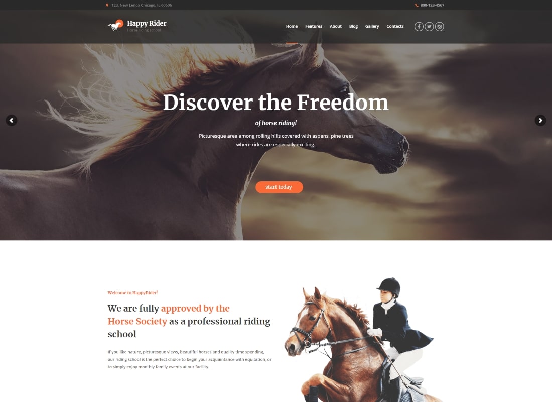 Happy Rider | Horse School & Equestrian Center WordPress Theme