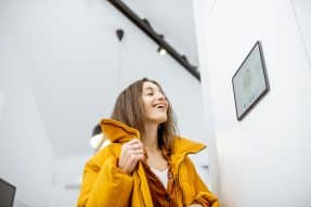 Home Automation WordPress Themes