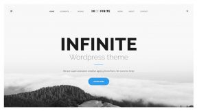Infinite WordPress Theme Review