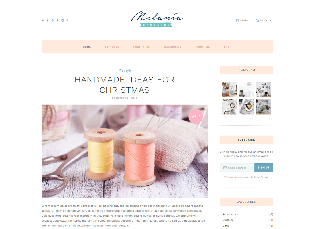 Melania | Handmade Blog & Shop WordPress Theme