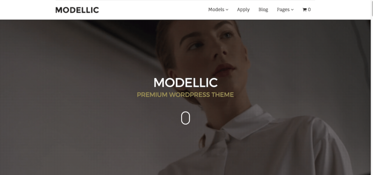 9 Best Model Agency WordPress Themes 2026 - Colorlib