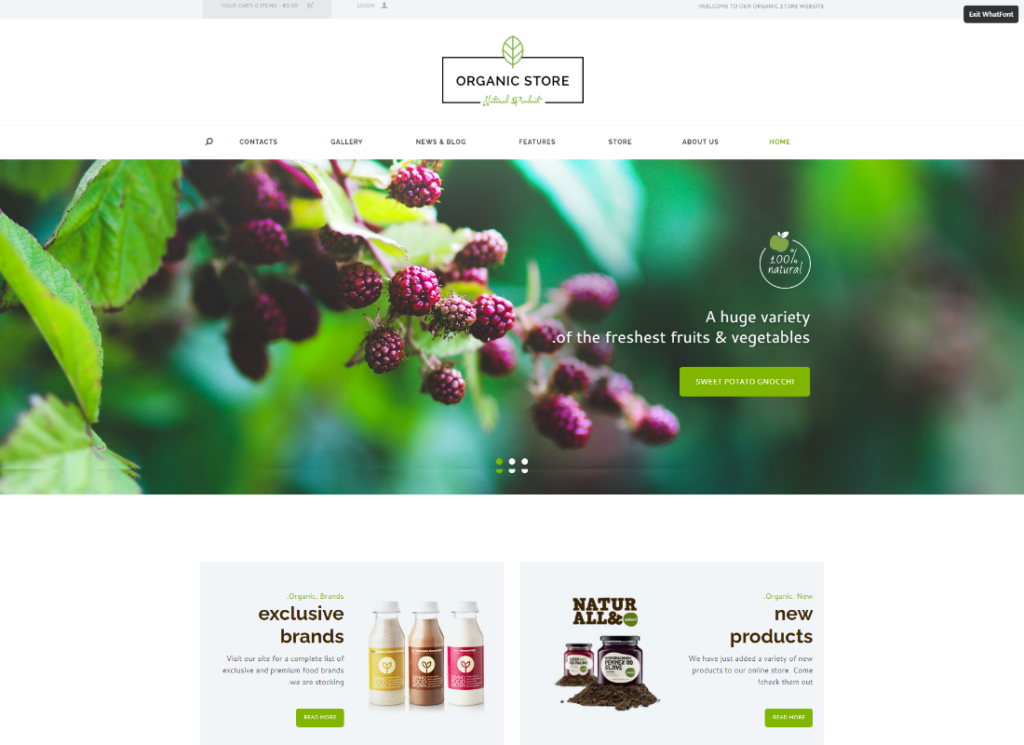 Organic Store - Eco Products Shop WordPress Theme + RTL