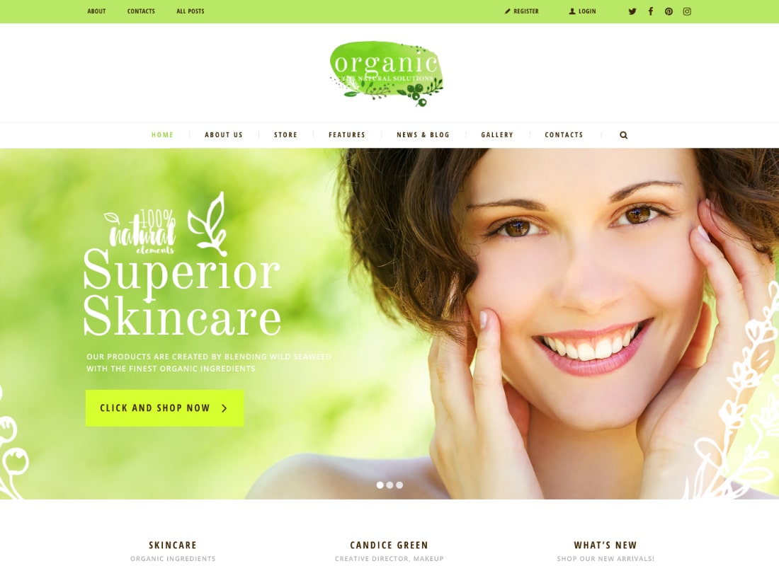 Organic Store | Organic Food & Eco Products WordPress Theme + RTL