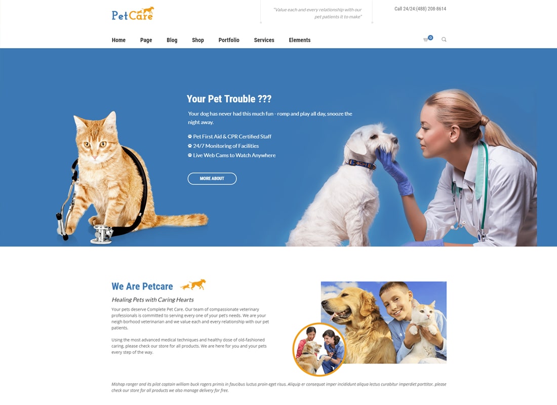 Petcare - Pet Shop and Pet Care WordPress Theme