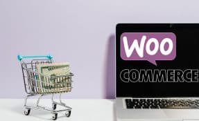 Picking the right woocommerce theme