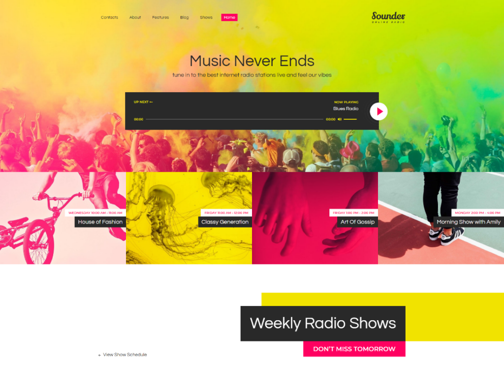 Sounder - Online Internet Radio Station WordPress Theme + RTL