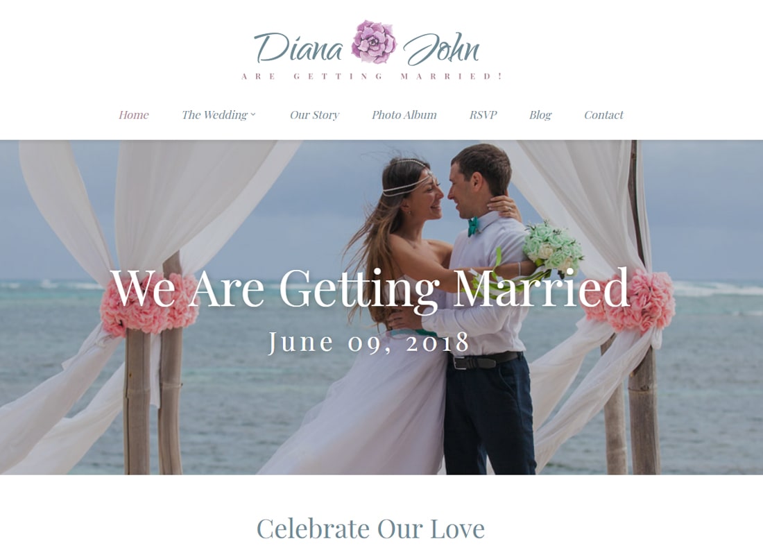 Special Day - Wedding Day, Planner, & Event Theme