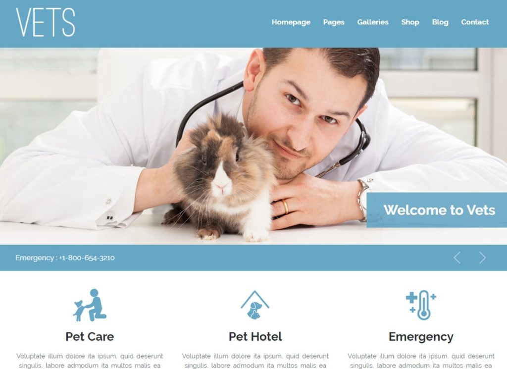 VETS | Veterinary Medical Health Clinic WordPress Theme