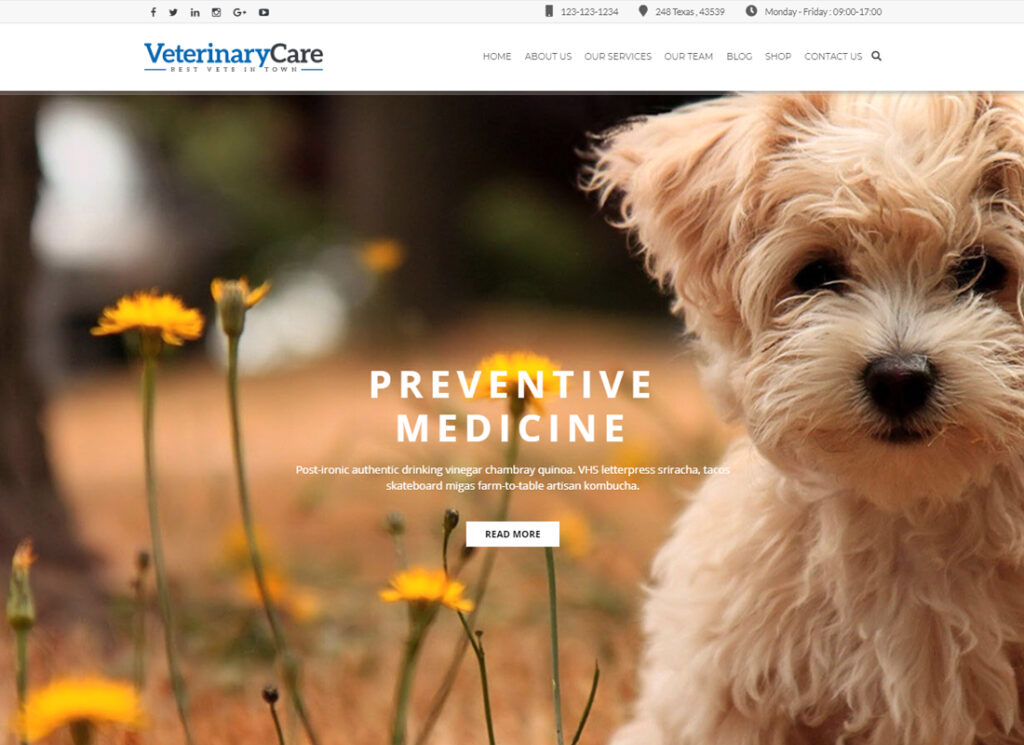 Vet Care | Pet Care & Veterinary WordPress Theme