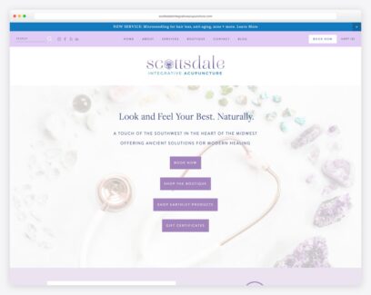 Acupuncture website examples