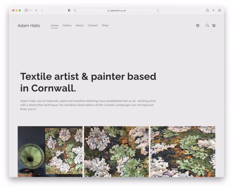 21 Best Artist Portfolio Websites (Examples) 2026 - Colorlib