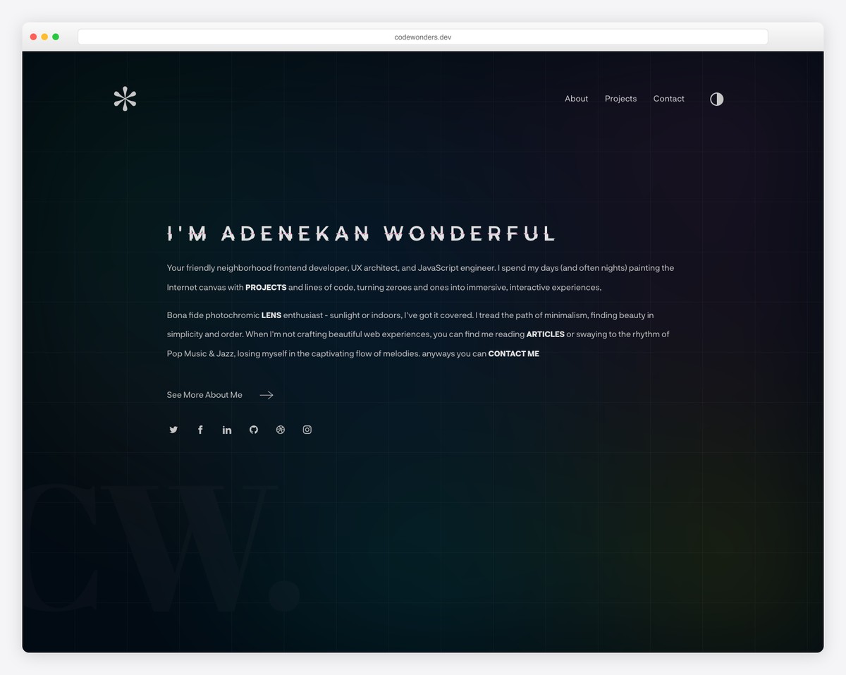 adenekan wonderful developer portfolio
