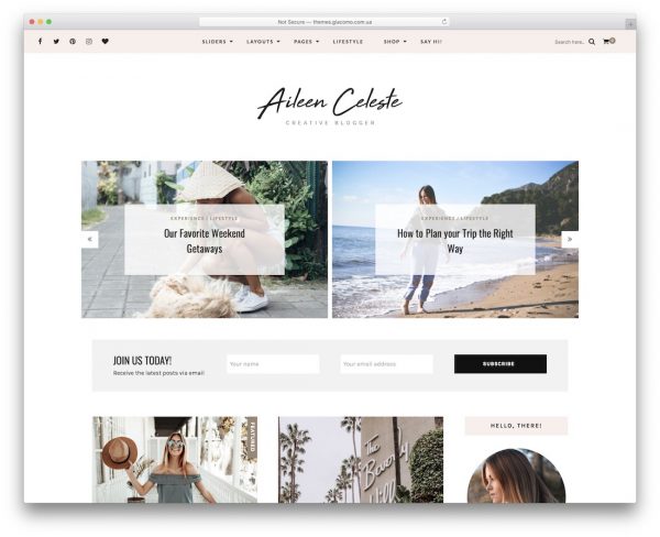 Best Personal Blog Wordpress Themes Colorlib