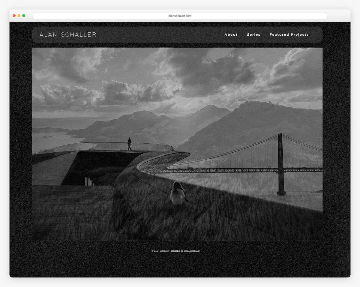 alan schaller website example
