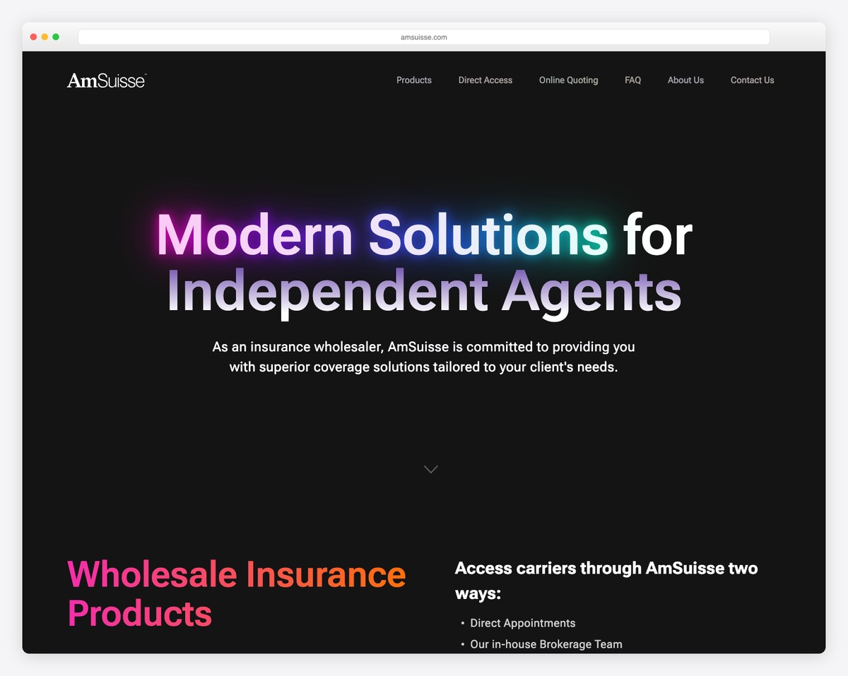 amsuisse website example