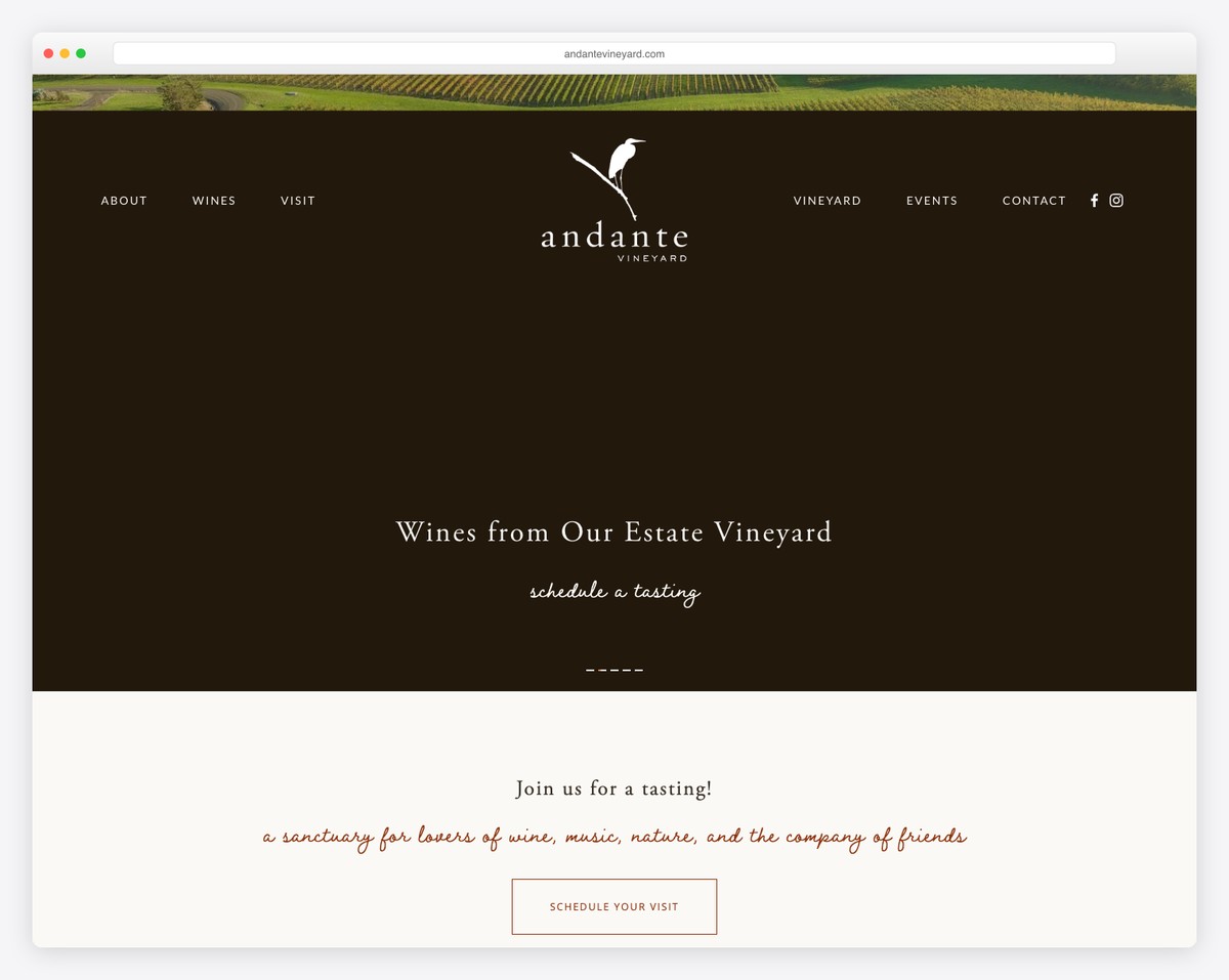 andante vineyard website example