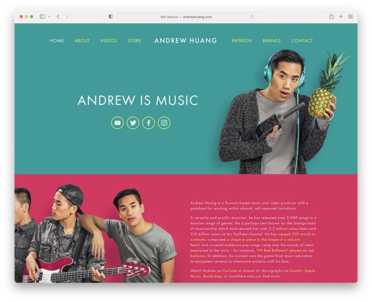 20 Best Singer Websites (Examples) 2026 - Colorlib
