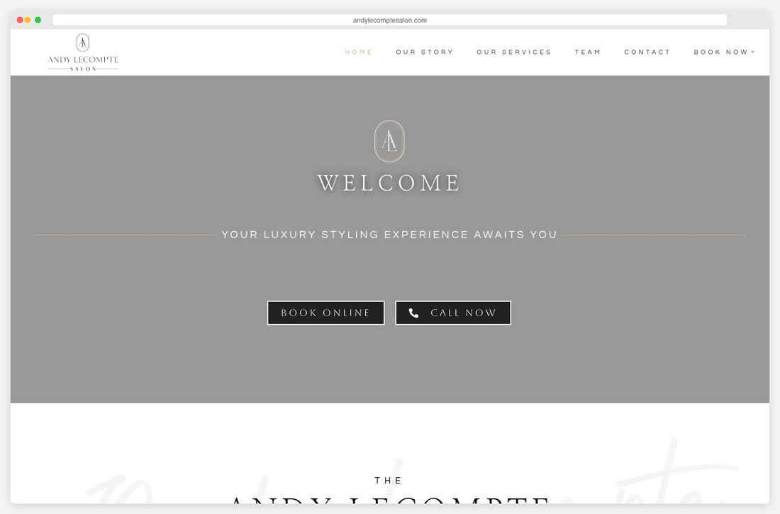 andy lecompte salon website example