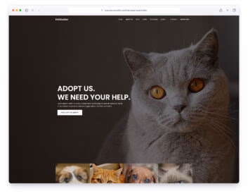 Animal Shelter template preview