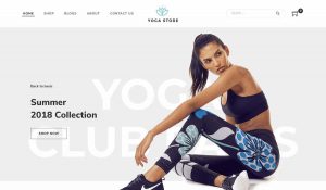 33 Best Fashion Ecommerce Themes for WordPress 2021 - Colorlib