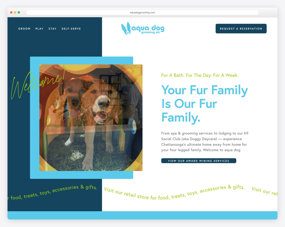 aqua dog grooming website