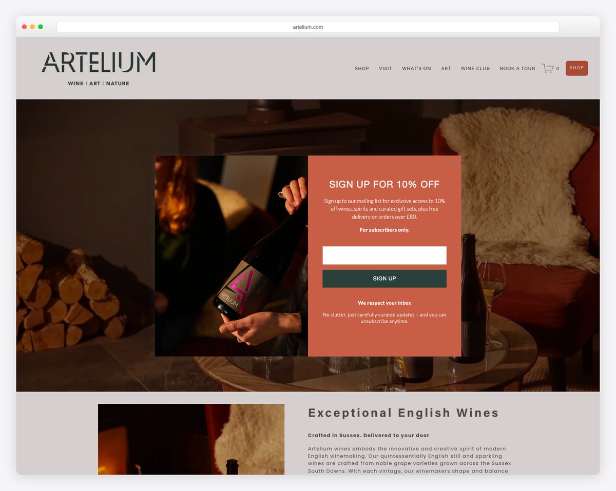 artelium website example