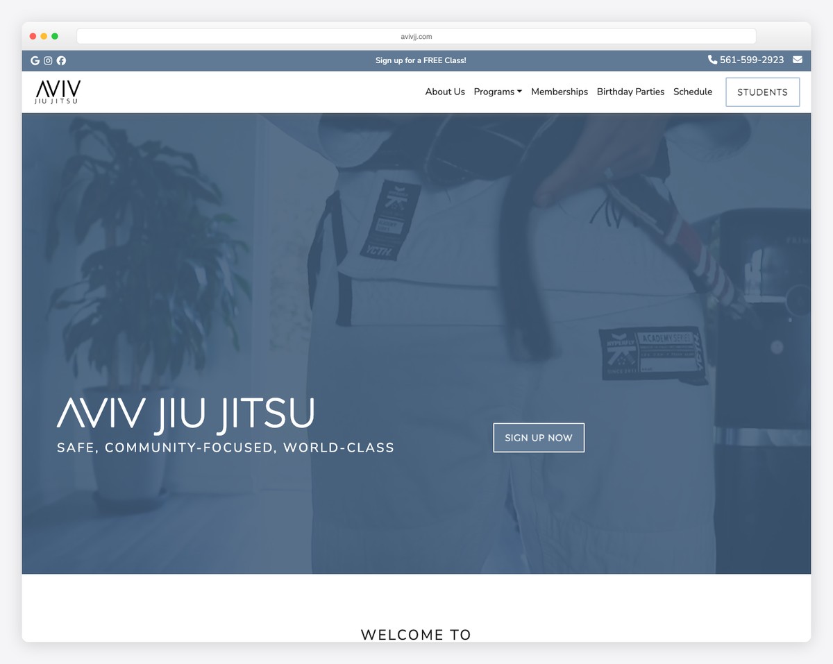 aviv jiu jitsu website